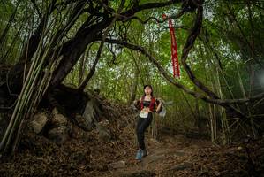 BIB: 
                            <button type="button" onclick="openModal(22178273)" class="btn btn-primary btn-sm float-right btn-popup" data-toggle="modal" data-target=".modal-high-quality">
                        <i class="fas fa-shopping-cart"></i> Add to Cart
                    </button>
                                            <button type="button" onclick="isThisMe(22178273, true)" class="btn btn-success btn-sm float-right btn-popup btn-isme hidden" data-toggle="tooltip" data-placement="bottom" title="นี่คือรูปของคุณใช่ไหม คลิกที่นี่เพื่อเอาเข้าอัลบั้ม">
                        <i class="fas fa-plus"></i> Add to album
                    </button>
                    <button type="button" onclick="isThisMe(22178273, false)" class="btn btn-warning btn-sm float-right btn-popup btn-isnotme hidden">
                        <i class="fas fa-ban"></i> Remove from album
                    </button>